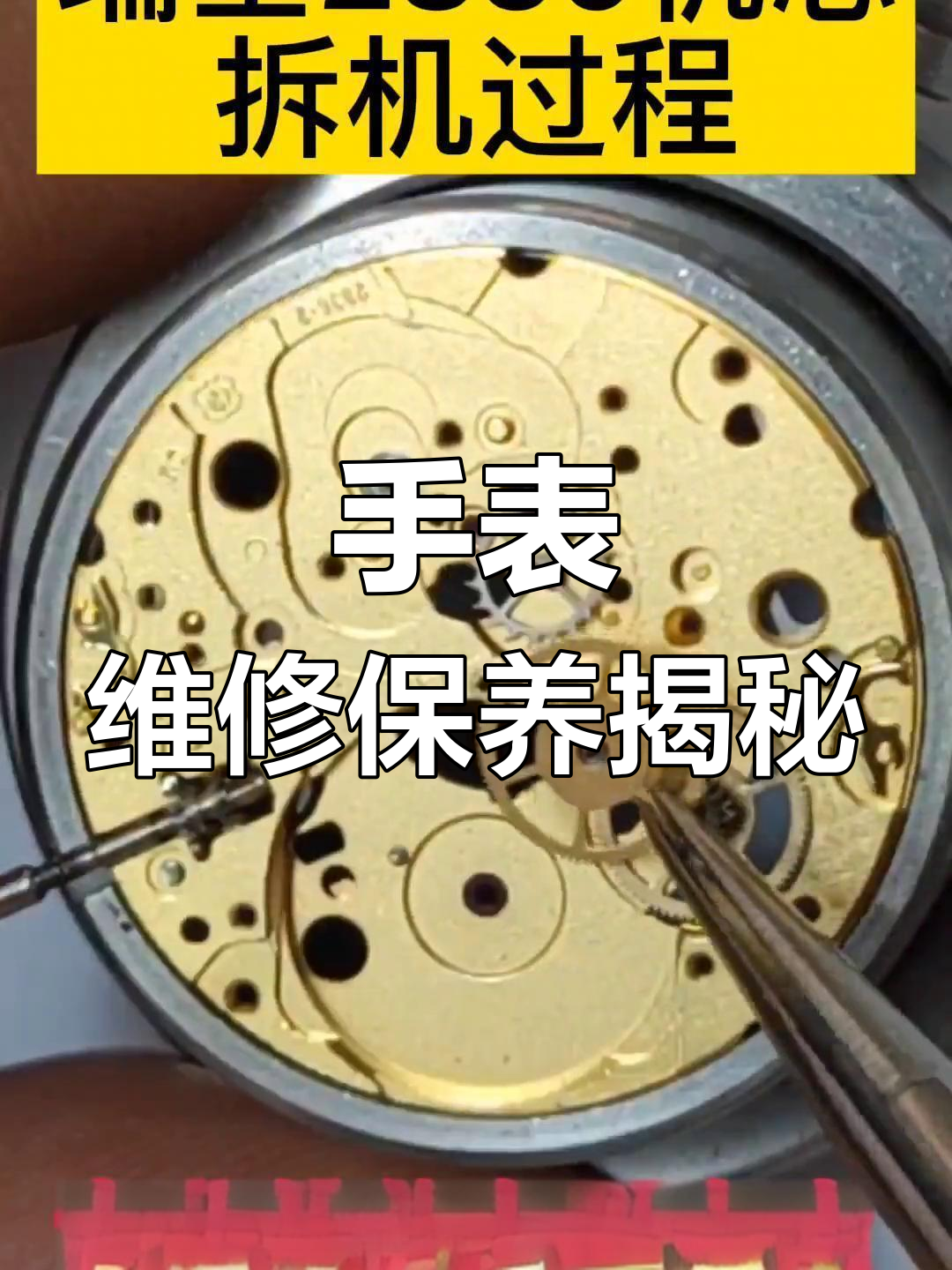 名士手表机芯拆解图解大全图片