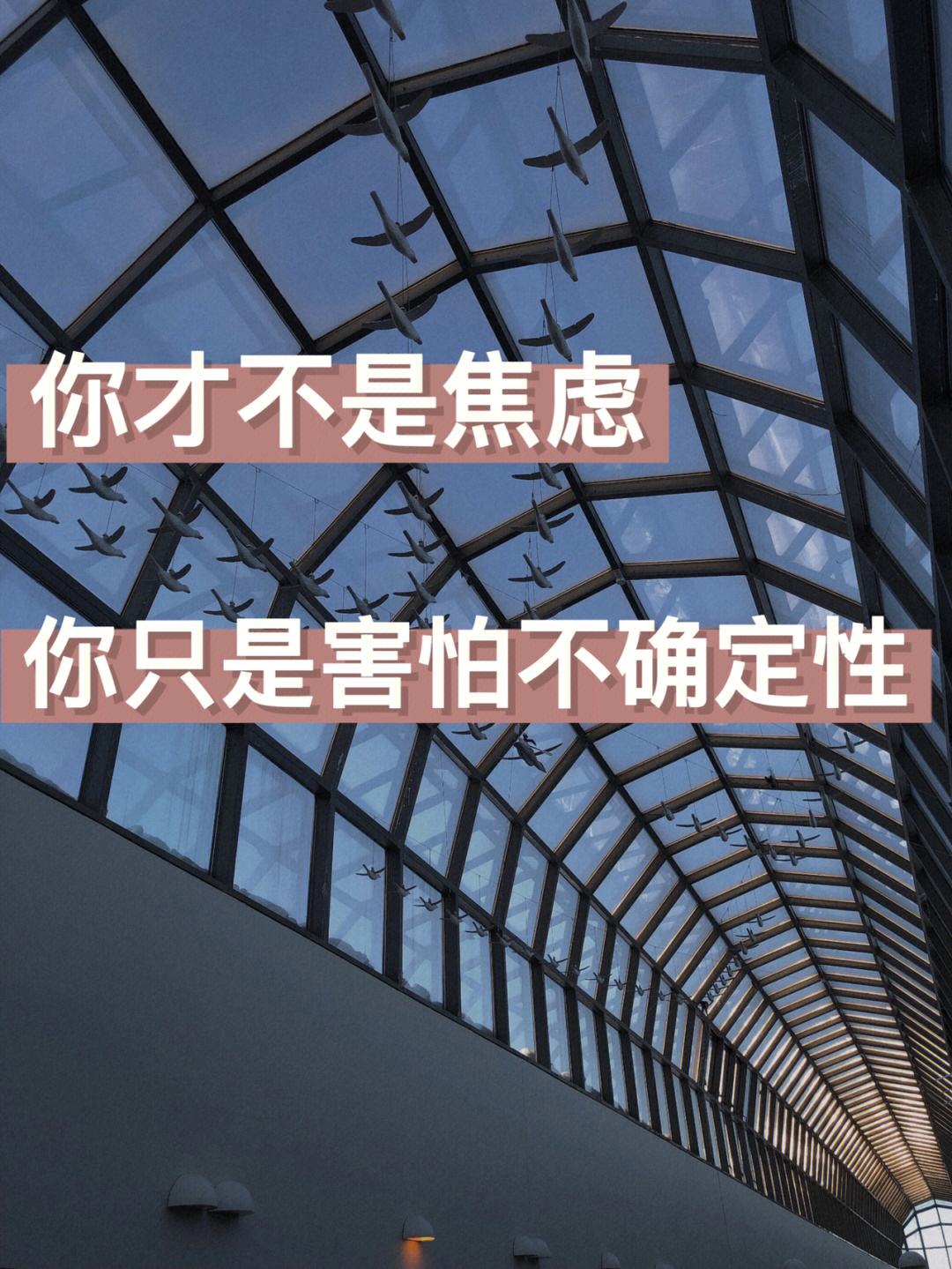 恐怕的意思是不是不确定的意思